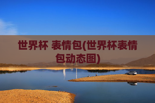 世界杯 表情包(世界杯表情包动态图)