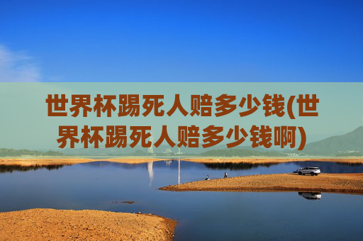 世界杯踢死人赔多少钱(世界杯踢死人赔多少钱啊)