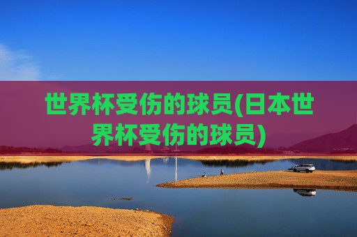 世界杯受伤的球员(日本世界杯受伤的球员)