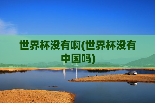 世界杯没有啊(世界杯没有中国吗)