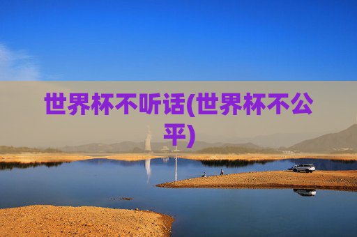 世界杯不听话(世界杯不公平)