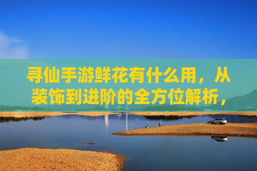 寻仙手游鲜花有什么用，从装饰到进阶的全方位解析，寻仙手游鲜花作用解析，从装饰到进阶的全方位应用指南