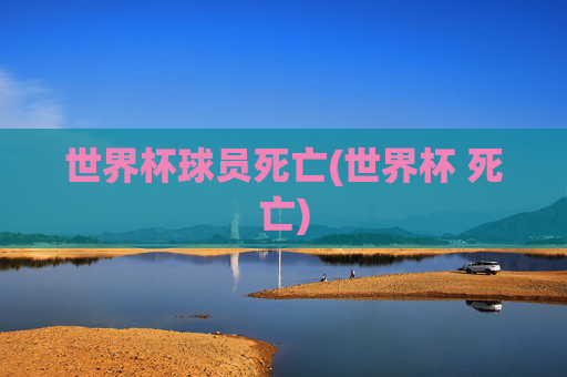 世界杯球员死亡(世界杯 死亡)