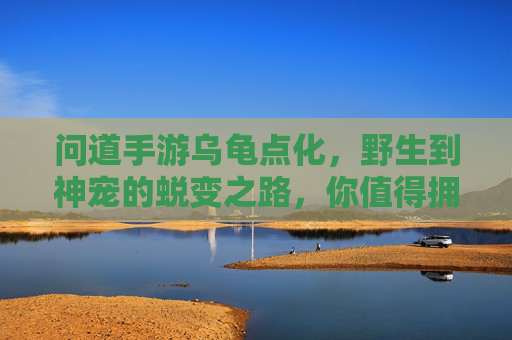问道手游乌龟点化，野生到神宠的蜕变之路，你值得拥有