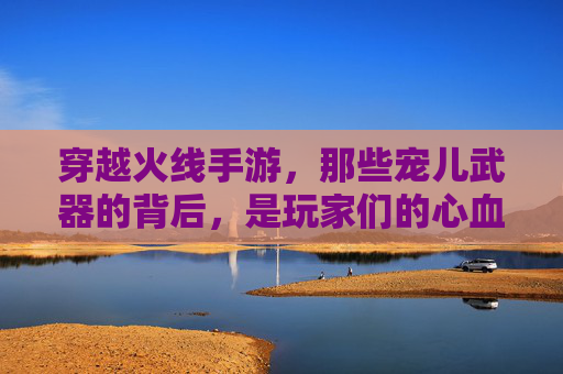 穿越火线手游，那些宠儿武器的背后，是玩家们的心血与热爱，穿越火线手游，那些宠儿武器的背后，藏着玩家们的心血与热爱