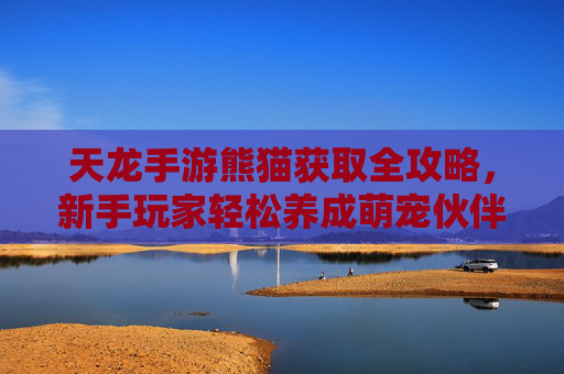 天龙手游熊猫获取全攻略，新手玩家轻松养成萌宠伙伴