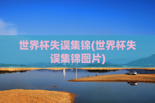 世界杯失误集锦(世界杯失误集锦图片)