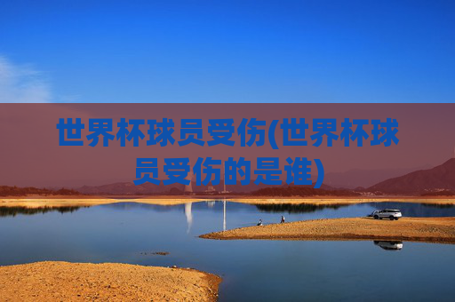 世界杯球员受伤(世界杯球员受伤的是谁)