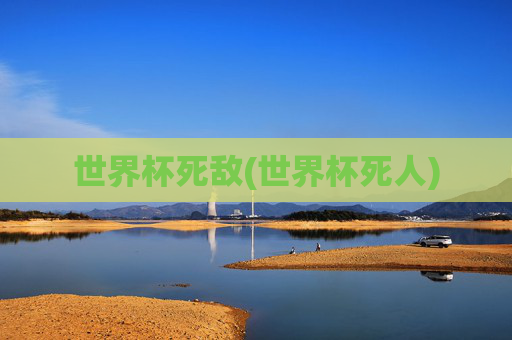 世界杯死敌(世界杯死人)