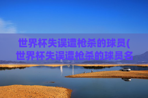 世界杯失误遭枪杀的球员(世界杯失误遭枪杀的球员名单)