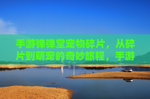 手游弹弹堂宠物碎片，从碎片到萌宠的奇妙旅程，手游弹弹堂宠物碎片，从碎片到萌宠的奇妙旅程