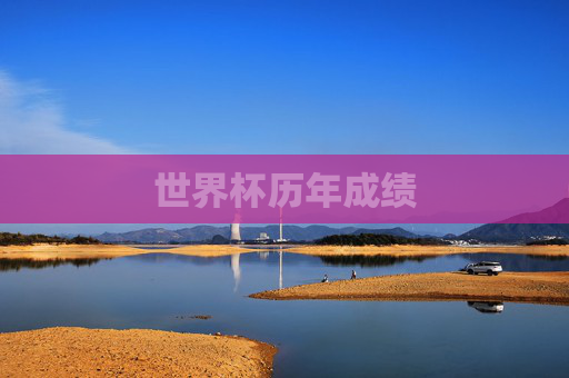 世界杯历年成绩