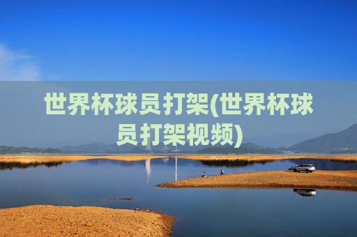 世界杯球员打架(世界杯球员打架视频)