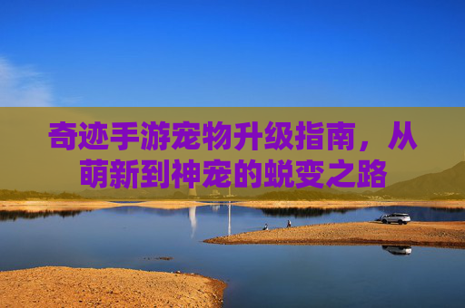 奇迹手游宠物升级指南，从萌新到神宠的蜕变之路