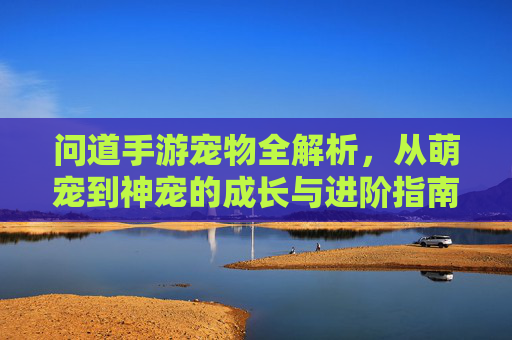 问道手游宠物全解析,从萌宠到神宠的成长与进阶指南