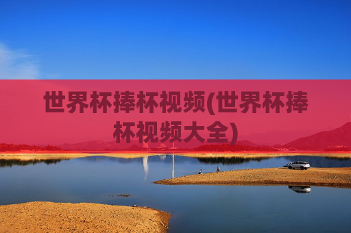 世界杯捧杯视频(世界杯捧杯视频大全)
