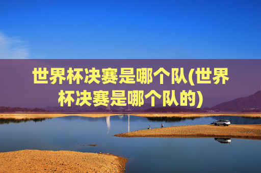 世界杯决赛是哪个队(世界杯决赛是哪个队的)