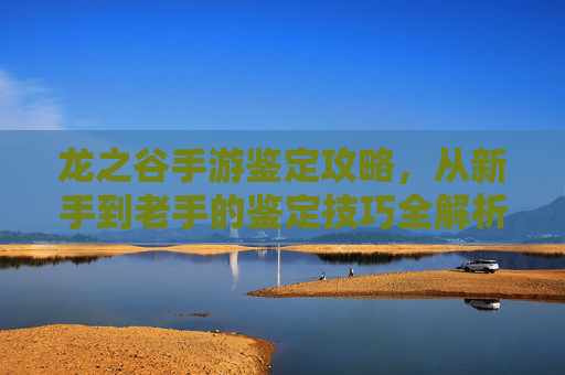 龙之谷手游鉴定攻略,从新手到老手的鉴定技巧全解析