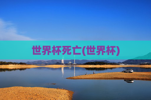 世界杯死亡(世界杯)