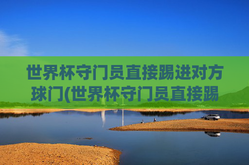 世界杯守门员直接踢进对方球门(世界杯守门员直接踢进对方球门吗)