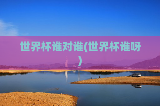 世界杯谁对谁(世界杯谁呀)