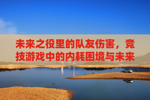 未来之役里的队友伤害,竞技游戏中的内耗困境与未来破局之道?