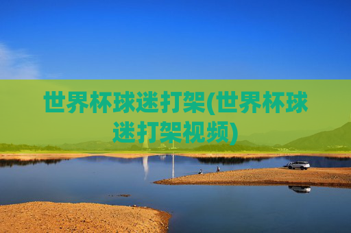 世界杯球迷打架(世界杯球迷打架视频)