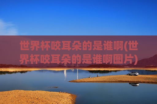 世界杯咬耳朵的是谁啊(世界杯咬耳朵的是谁啊图片)