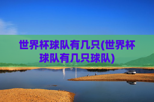世界杯球队有几只(世界杯球队有几只球队)
