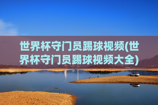 世界杯守门员踢球视频(世界杯守门员踢球视频大全)