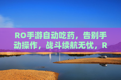 RO手游自动吃药，告别手动操作，战斗续航无忧，RO手游自动吃药功能，告别手动操作，战斗续航无忧