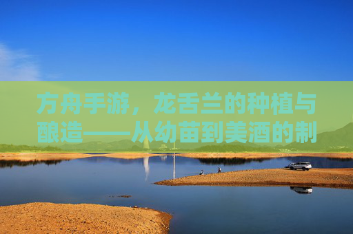 方舟手游，龙舌兰的种植与酿造——从幼苗到美酒的制作指南，方舟手游龙舌兰种植与酿造，从幼苗到美酒的制作全指南