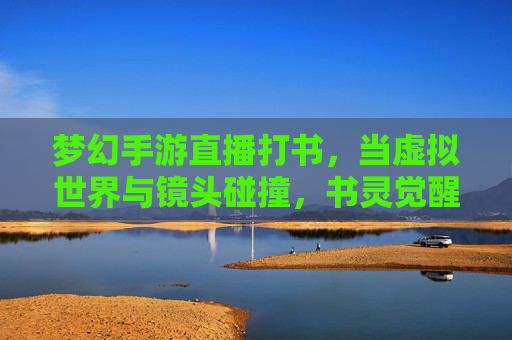 梦幻手游直播打书，当虚拟世界与镜头碰撞，书灵觉醒的奇妙狂欢，梦幻手游直播打书，虚拟世界与镜头碰撞，书灵觉醒的奇妙狂欢