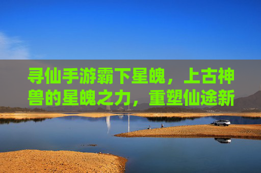 寻仙手游霸下星魄,上古神兽的星魄之力,重塑仙途新篇章,寻仙手游霸下星魄,上古神兽的星魄之力,重塑仙途新篇章