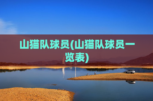 山猫队球员(山猫队球员一览表)