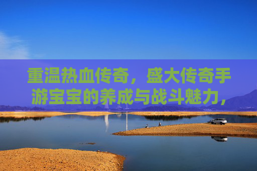 重温热血传奇,盛大传奇手游宝宝的养成与战斗魅力,重温热血传奇,盛大传奇手游宝宝的养成与战斗魅力