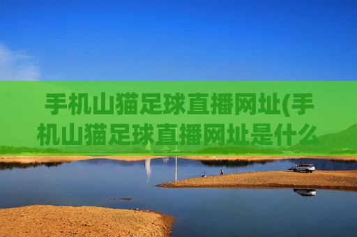 手机山猫足球直播网址(手机山猫足球直播网址是什么)