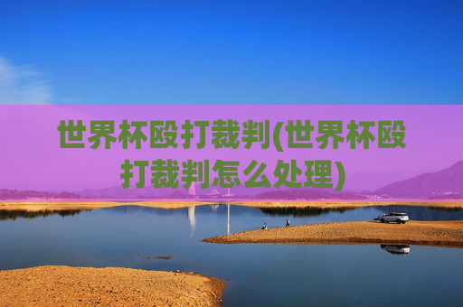 世界杯殴打裁判(世界杯殴打裁判怎么处理)