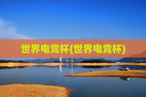 世界电竞杯(世界电竞杯)