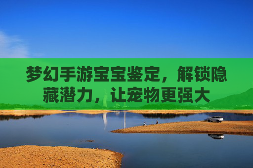 梦幻手游宝宝鉴定,解锁隐藏潜力,让宠物更强大