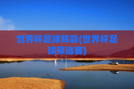 世界杯足球阵容(世界杯足球预选赛)