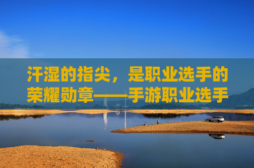 汗湿的指尖，是职业选手的荣耀勋章——手游职业选手汗手的故事与代价