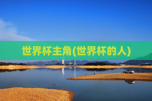 世界杯主角(世界杯的人)
