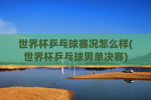 世界杯乒乓球赛况怎么样(世界杯乒乓球男单决赛)