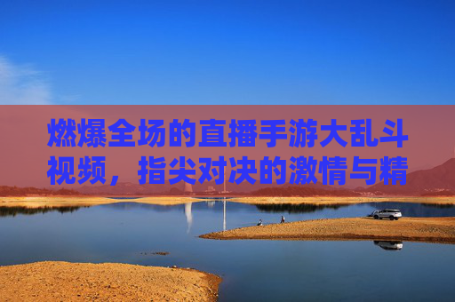 燃爆全场的直播手游大乱斗视频，指尖对决的激情与精彩
