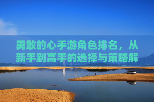 勇敢的心手游角色排名,从新手到高手的选择与策略解析,勇敢的心手游角色排名,从新手到高手的选择与策略解析