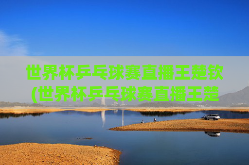 世界杯乒乓球赛直播王楚钦(世界杯乒乓球赛直播王楚钦几点)
