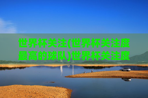 世界杯关注(世界杯关注度最高的球队)世界杯关注度最高的球队,球迷热议的焦点队伍