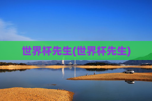 世界杯先生(世界杯先生)