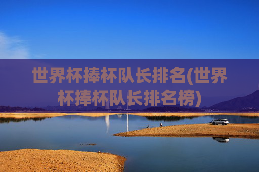 世界杯捧杯队长排名(世界杯捧杯队长排名榜)